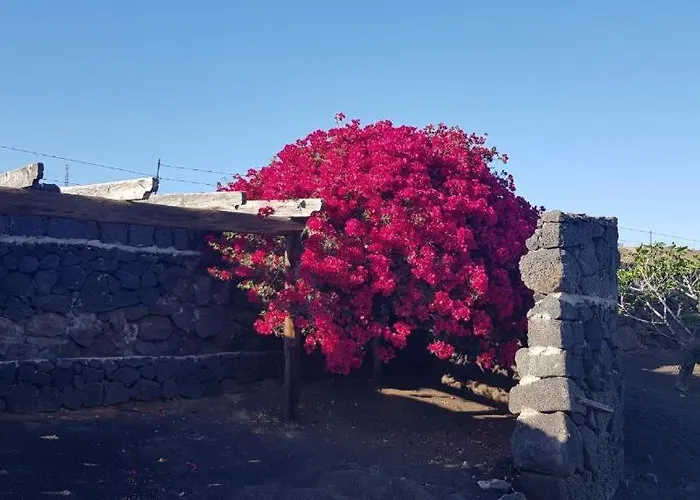 Buena Vista, Sea View Apto De Oasis Vasiliko , La Asomada דירה Tías