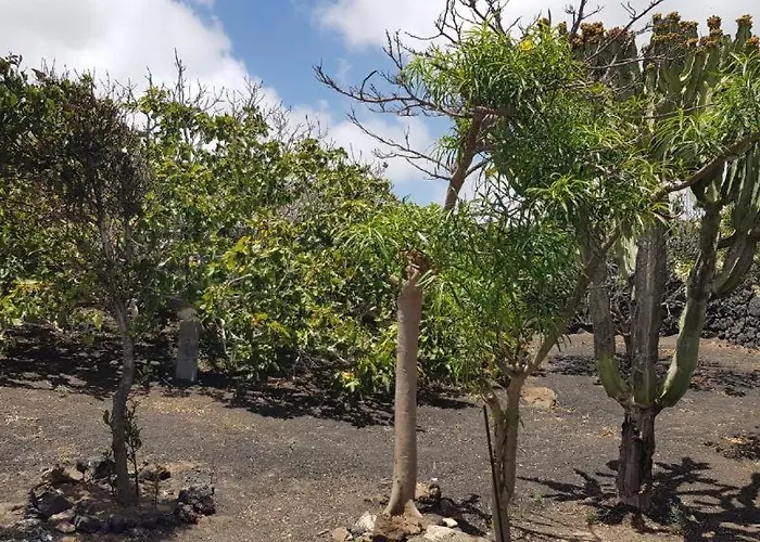 Buena Vista, Sea View Apto De Oasis Vasiliko , La Asomada Διαμέρισμα Tías