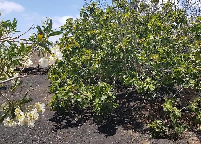 Buena Vista, Sea View Apto De Oasis Vasiliko , La Asomada דירה Tías