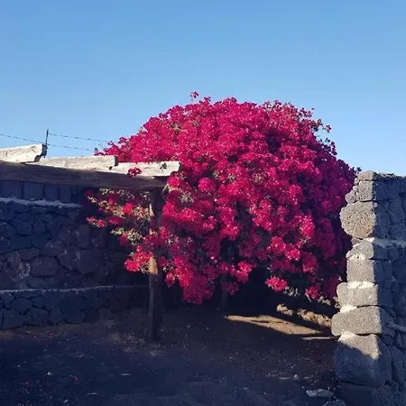 Buena Vista, Sea View Apto De Oasis Vasiliko , La Asomada 公寓 蒂亚斯