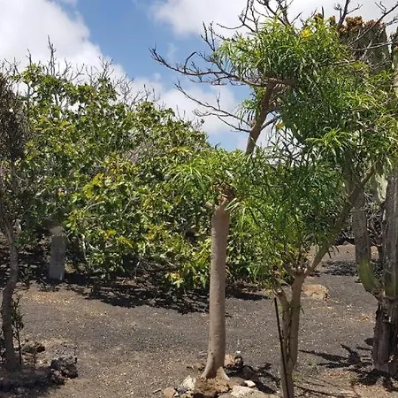 Buena Vista, Sea View Apto De Oasis Vasiliko , La Asomada 公寓 蒂亚斯